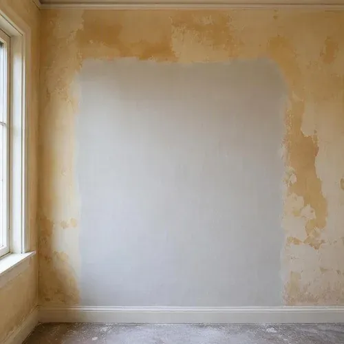 Patched plaster section curing on a heritage wall before the finish coat